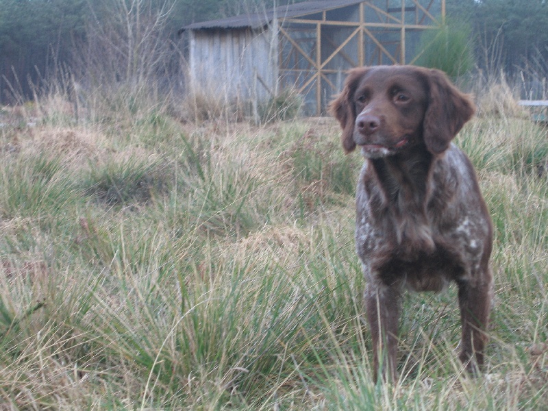 Ball trap de la Haille au loup